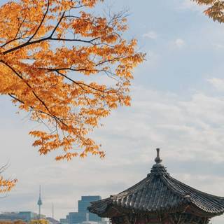 Seoul iPhone wallpaper