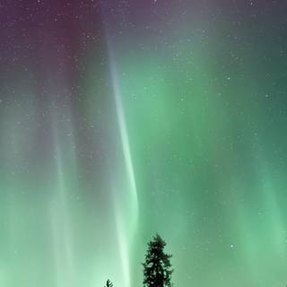 Aurora Borealis phone wallpaper