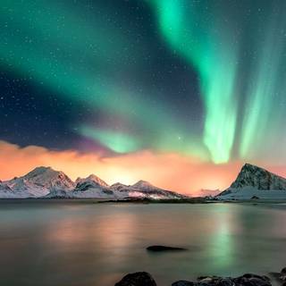 Aurora Borealis phone wallpaper