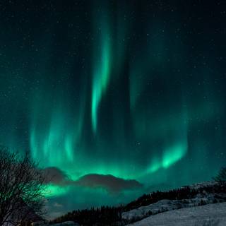 Northern Lights winter desktop wallpaper