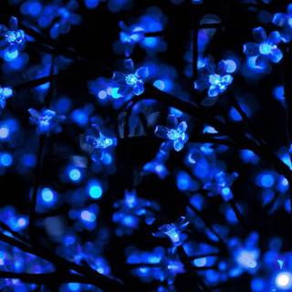 Glowing blue wallpaper