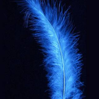 Glowing blue wallpaper