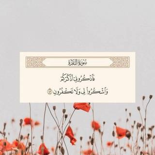 Quran iPhone wallpaper