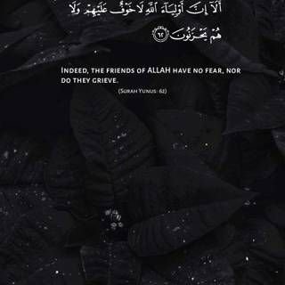 Quran iPhone wallpaper