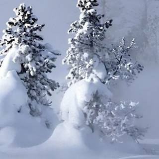 Cozy winter iPhone 12 wallpaper