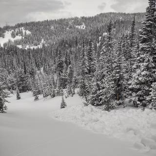 Dark winter iPhone 14 wallpaper