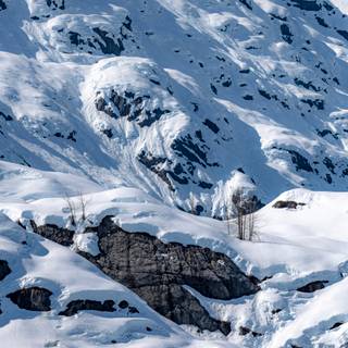 Dark winter iPhone 14 wallpaper