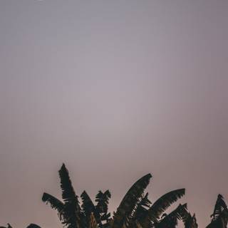 Crescent moon 4k wallpaper