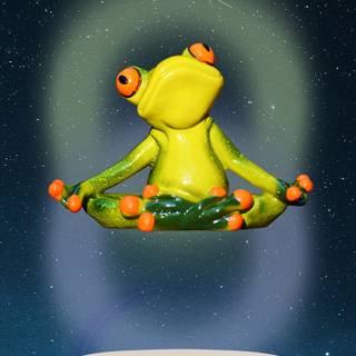 Frog iPhone wallpaper