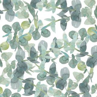 Sage green phone wallpaper