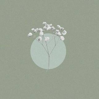 Sage green phone wallpaper