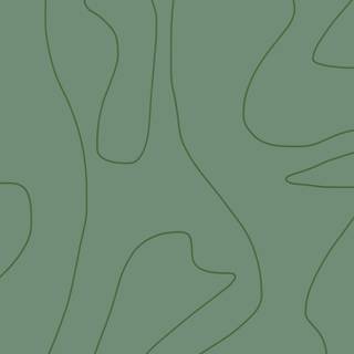 Sage green phone wallpaper