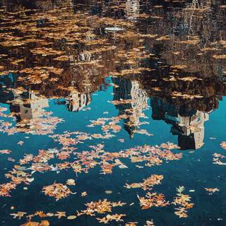 iPhone calm wallpaper