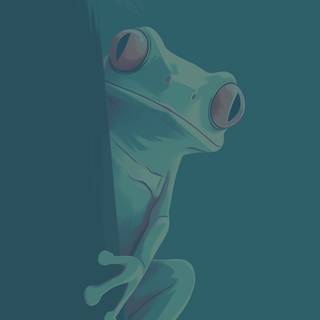 Frog iPhone wallpaper