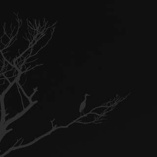 Black and white anime iPhone wallpaper