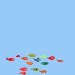 Fish phone wallpaper