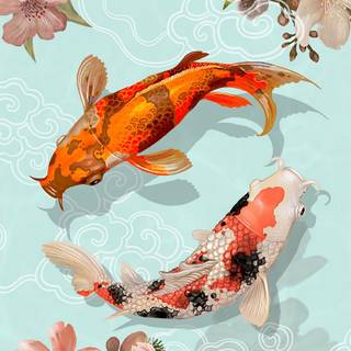 Fish phone wallpaper