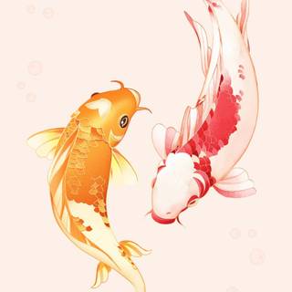 Fish phone wallpaper
