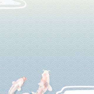 Fish phone wallpaper