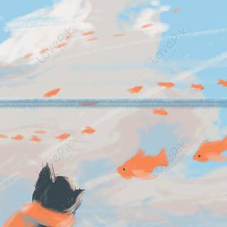 Fish phone wallpaper