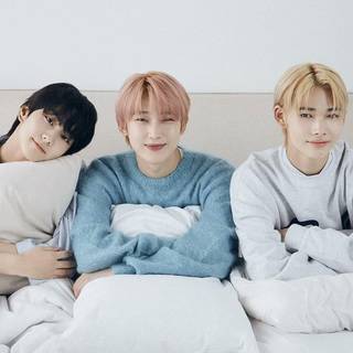 Enhypen iPhone wallpaper