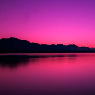 Purple cool wallpaper