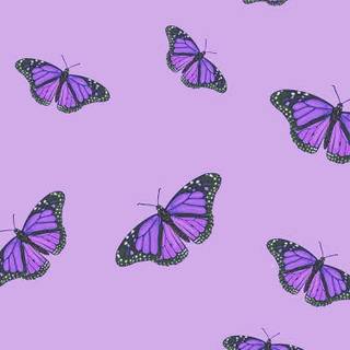 Purple cool wallpaper