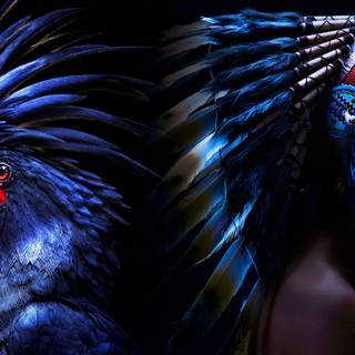 Native American computer wallpaper