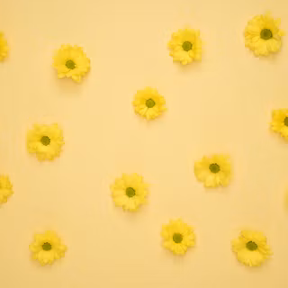 Spring aesthetic computer wallpaper