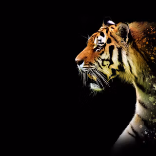 Abstract tiger wallpaper