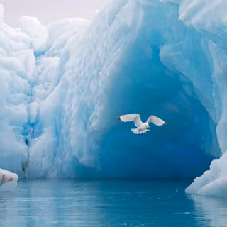 Arctic Ocean wallpaper