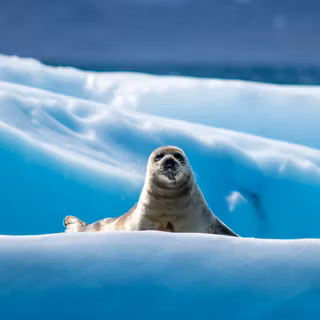 Arctic Ocean wallpaper