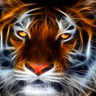 Abstract tiger wallpaper