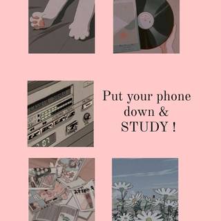 Pink study wallpaper