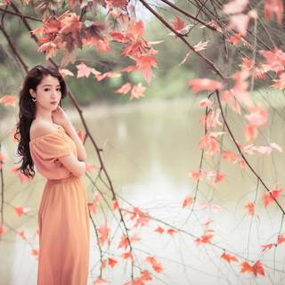 Traditional Chinese wallpaper