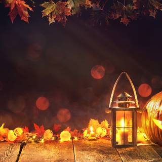 Halloween autumn HD 4k wallpaper