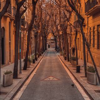 Autumn Barcelona wallpaper