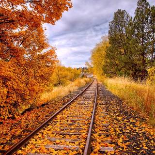 Autumn train tracks wallpaper