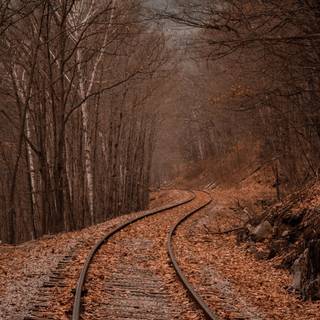 Autumn train tracks wallpaper