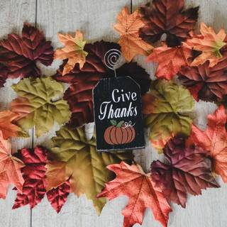 Halloween autumn HD 4k wallpaper