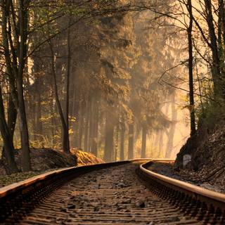Autumn train tracks wallpaper