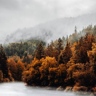 Cozy autumn vertical wallpaper