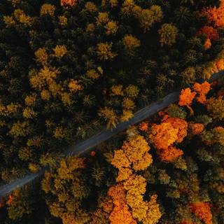 Cozy autumn vertical wallpaper