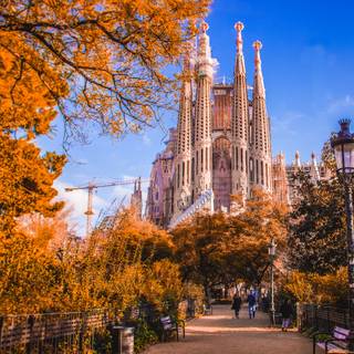 Autumn Barcelona wallpaper