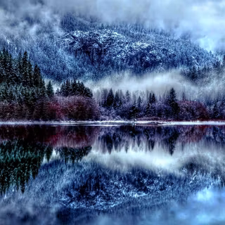 Foggy forest winter wallpaper