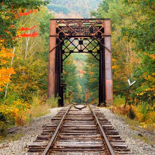 Autumn train tracks wallpaper