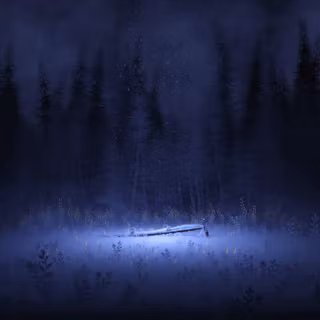 Foggy forest winter wallpaper
