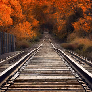 Autumn train tracks wallpaper
