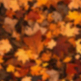 Cozy autumn vertical wallpaper