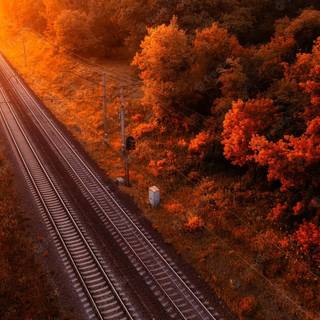 Autumn train tracks wallpaper
